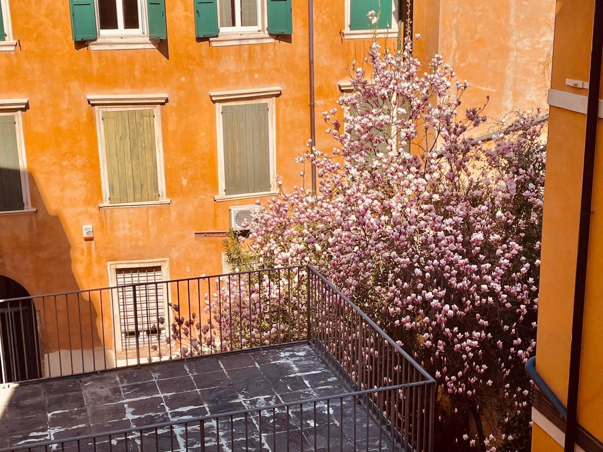Alle Arche Apartment *
